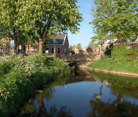 kruispunt, bomen in bloei, brug over een water