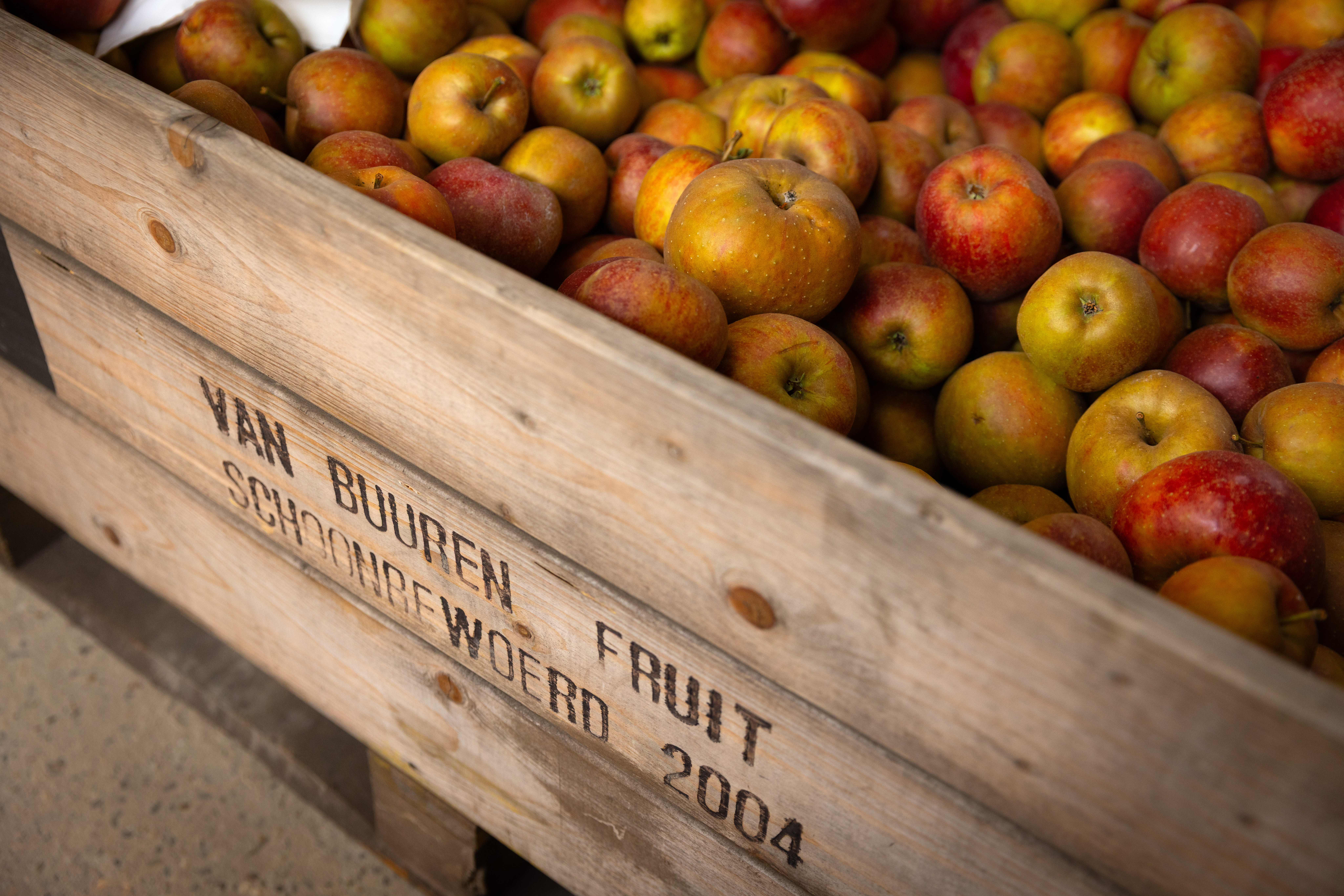 Houten krat met opschrift Van Buuren Fruit Schoonrewoerd 2024 gevuld met appels