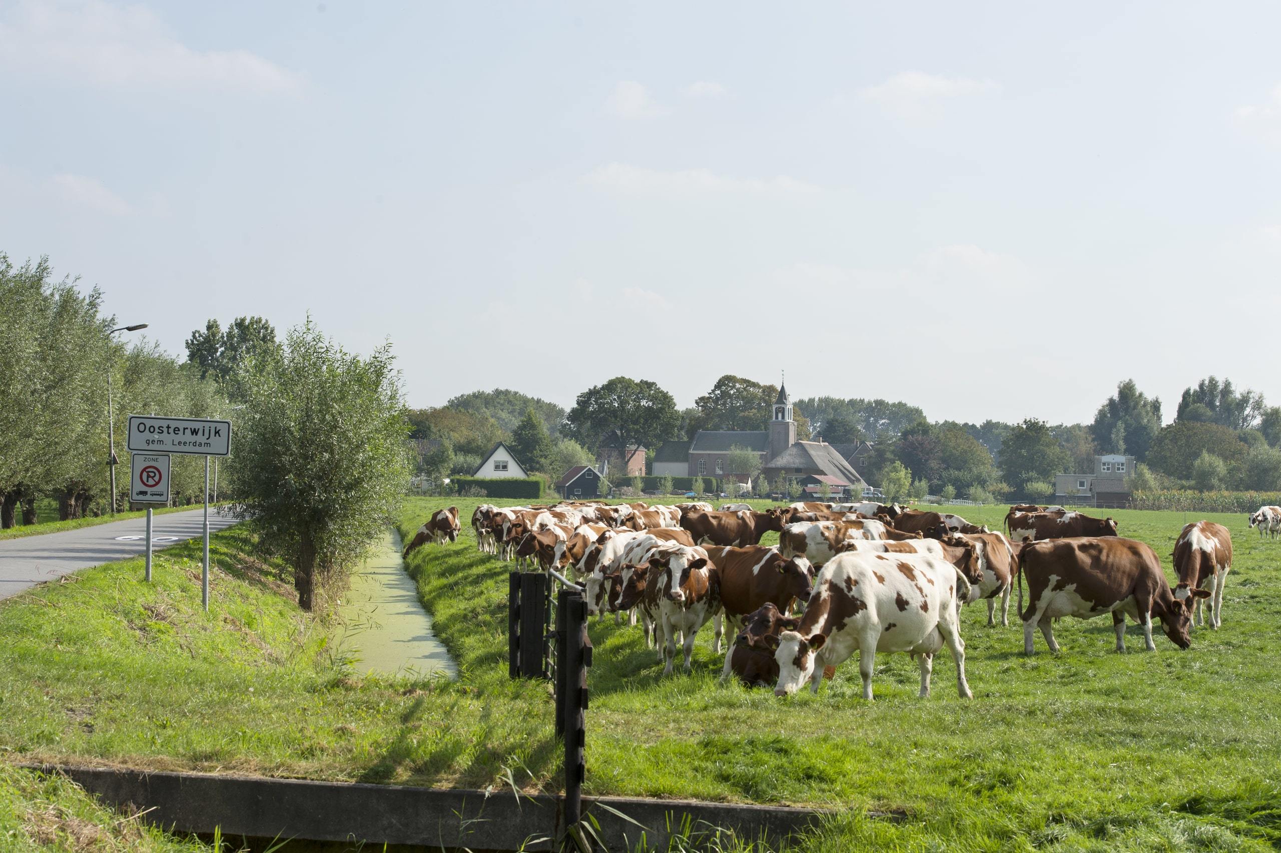 Foto van Oosterwijk