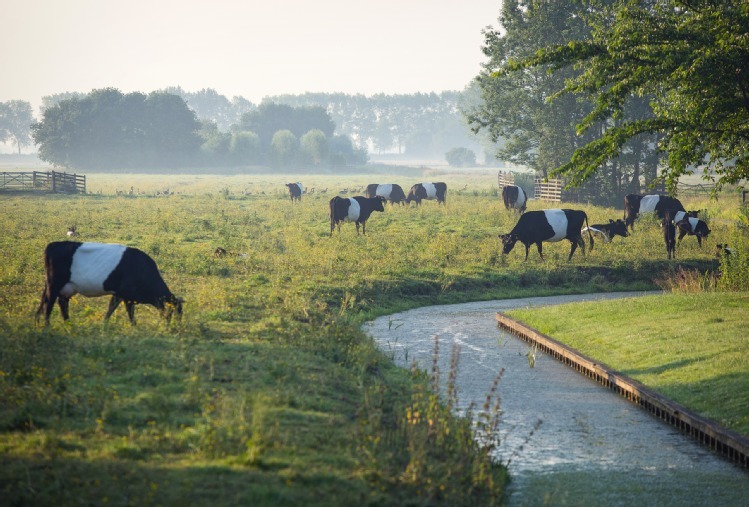 Foto van Lexmond