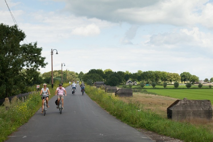 Foto van Vianen